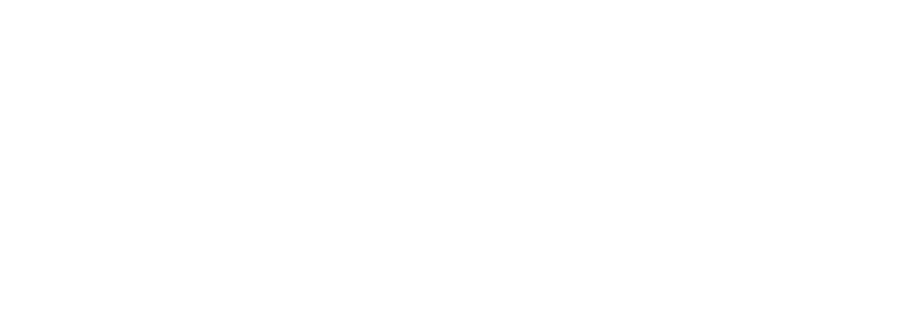 logo horizontal positivo